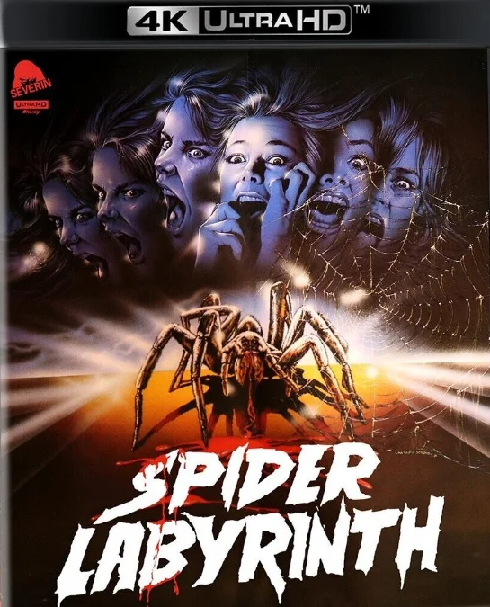 Il nido del ragno 4K 1988 poster