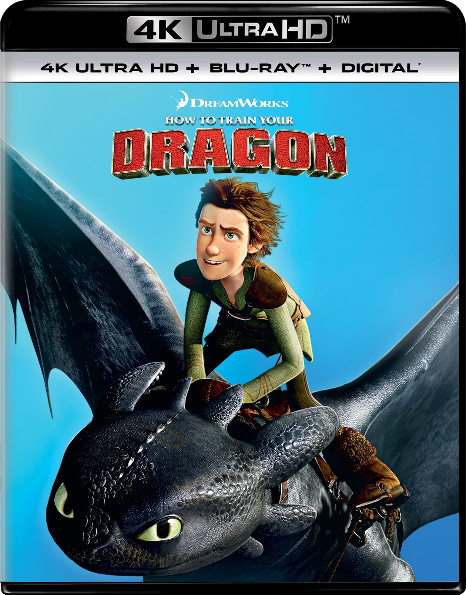 Dragon Trainer 4K 2010 poster