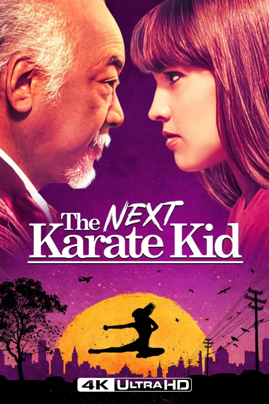 Karate Kid 4 4K 1994 poster